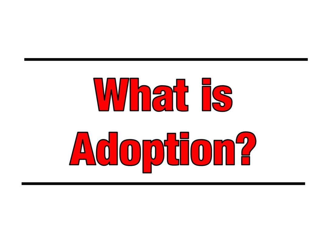 What is Adoption?